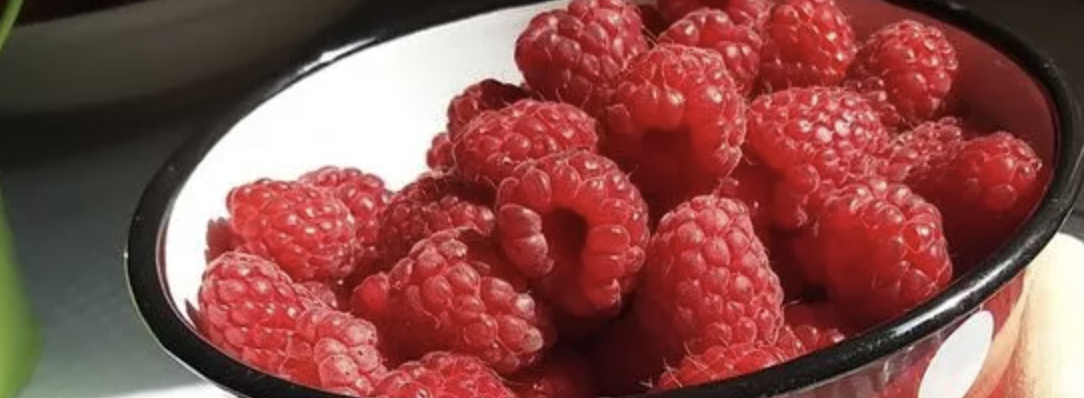 Balanced Nutrition Hub Banner