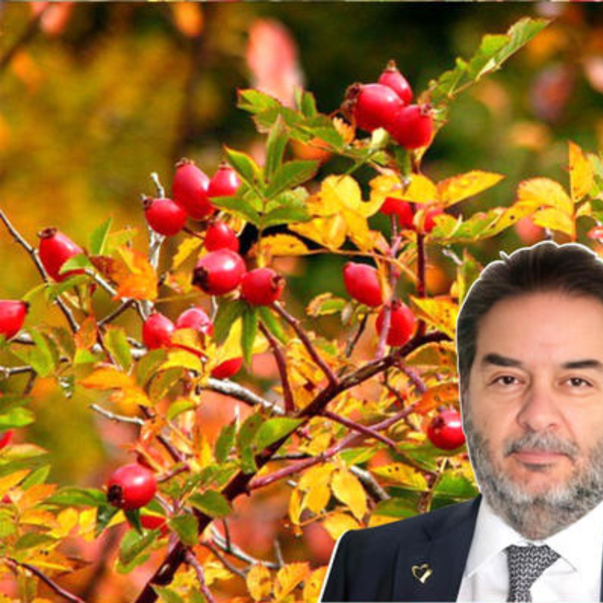 Ürək Dayağı Kapsulları